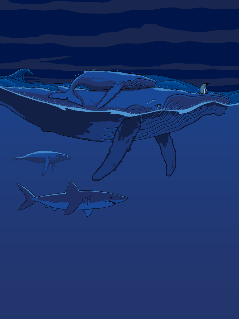 Mister King rescued by a whale